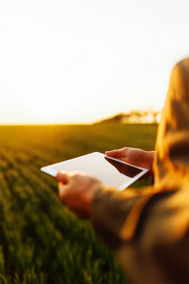 Servicios generales de ingeniería en Viveiro